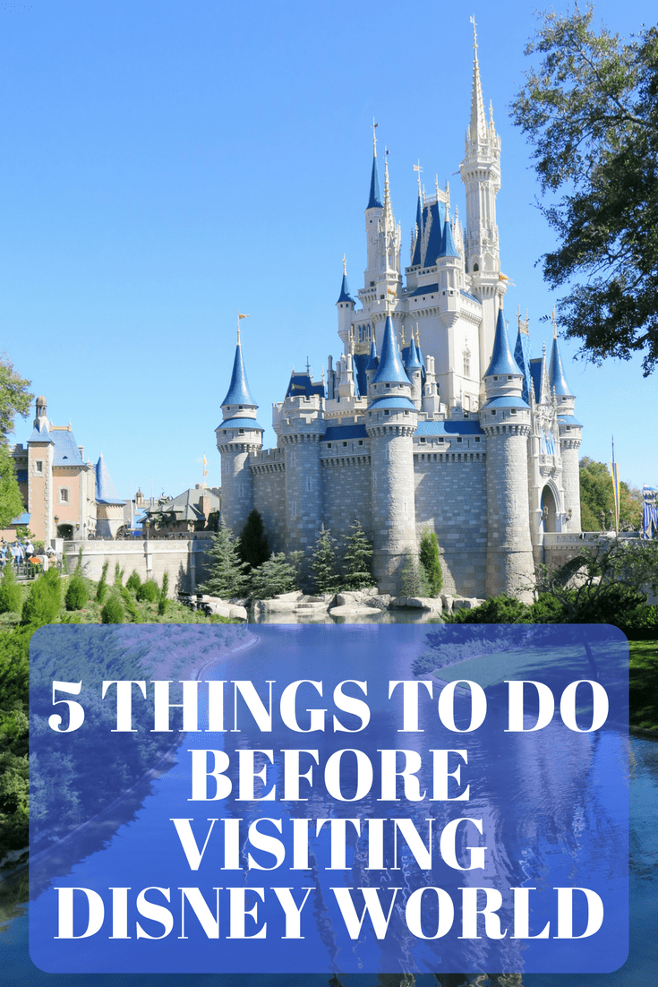 5 Things To Do Before Visiting Disney World