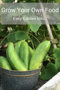 Grow Your Own Food - Easy Garden Ideas
