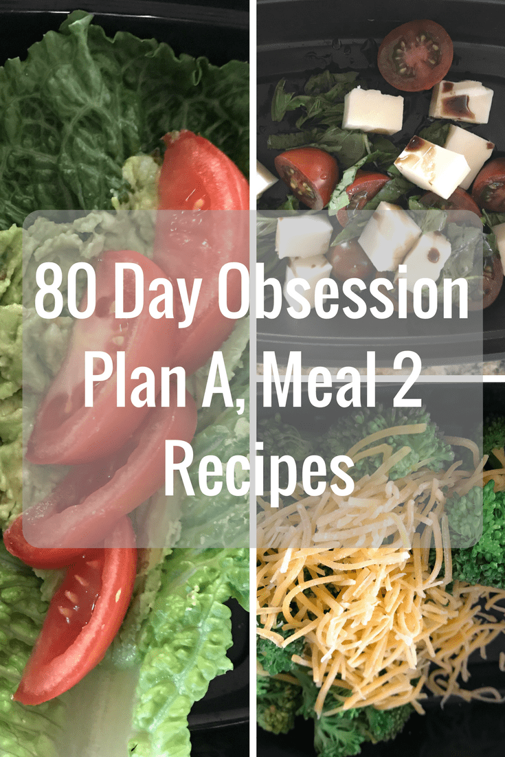 80 Day Obsession Plan A Meal 2 Recipes