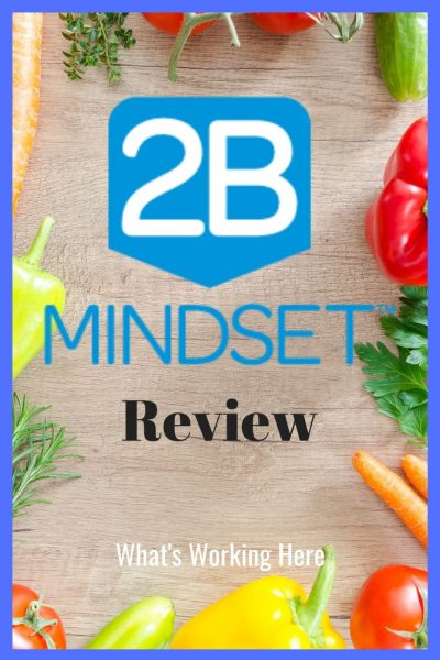 2B Mindset Review