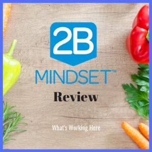 2B Mindset Review 