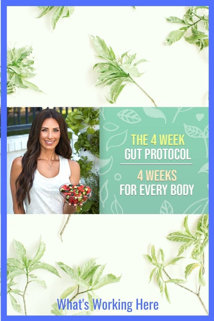 4 week gut protocol and 4 weeks for every body