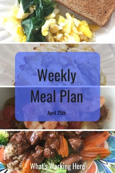 weekly meal plan
spinach & egg scramble with toast
banana apple muffin
shrimp & sausage gumbo
Instant pot mongolian beef with mixed veggies & brown rice