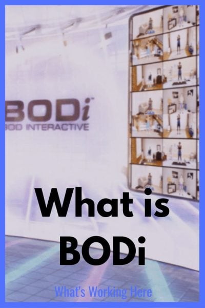 what is BODi